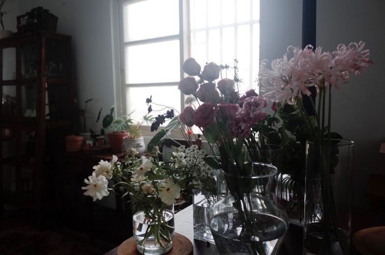 S__48037902.jpg