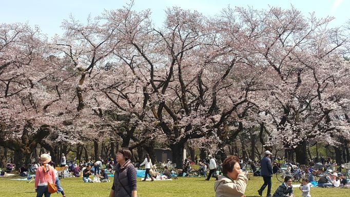 井之頭恩賜公園_4.jpg