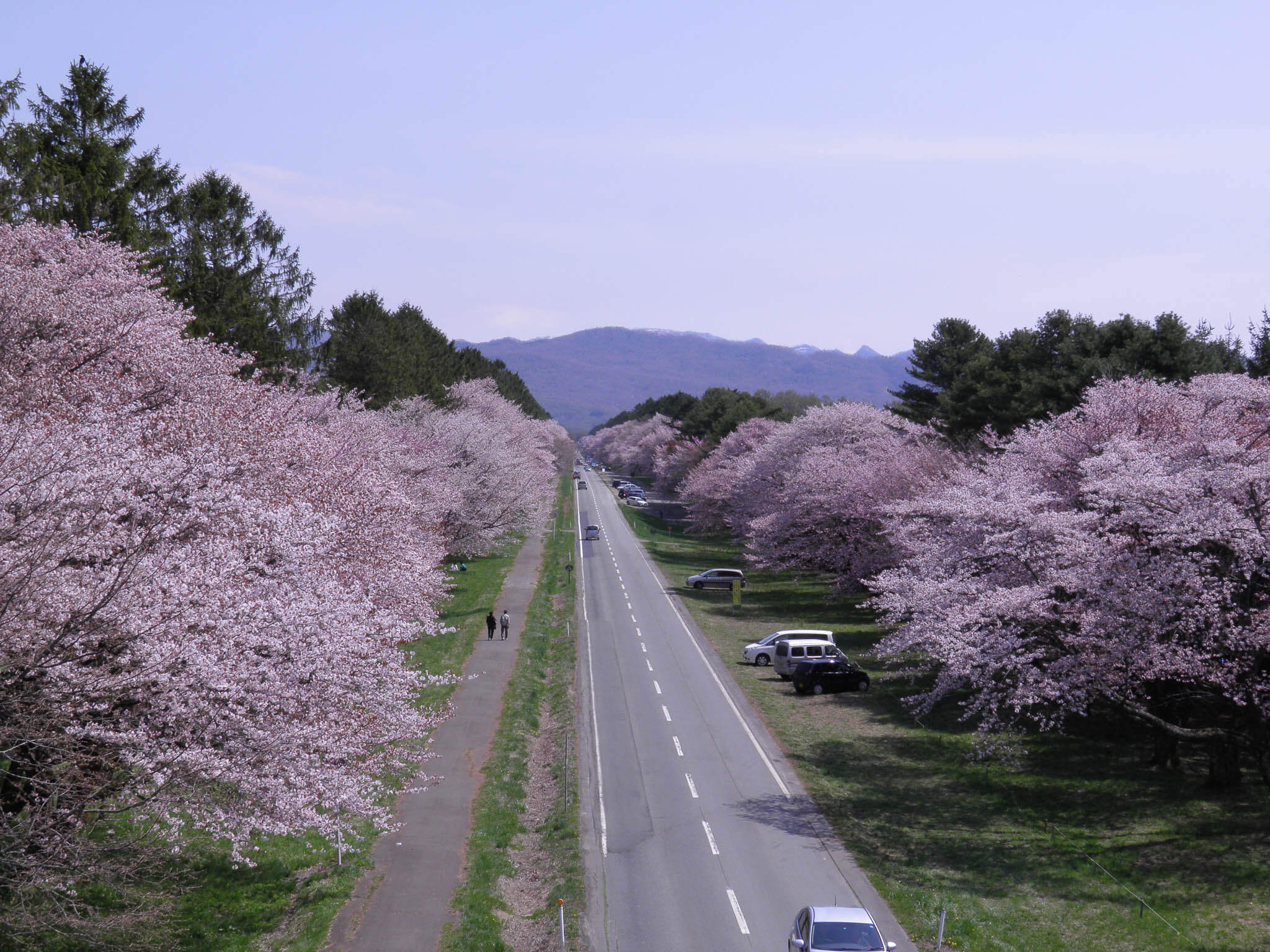 北海道官方旅遊網站_1.jpg