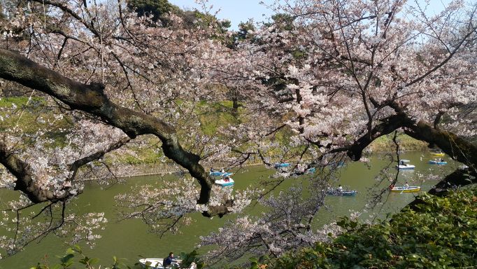 東京千鳥_2.jpg