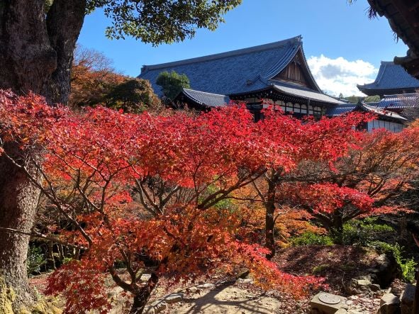 東福寺_7.JPG