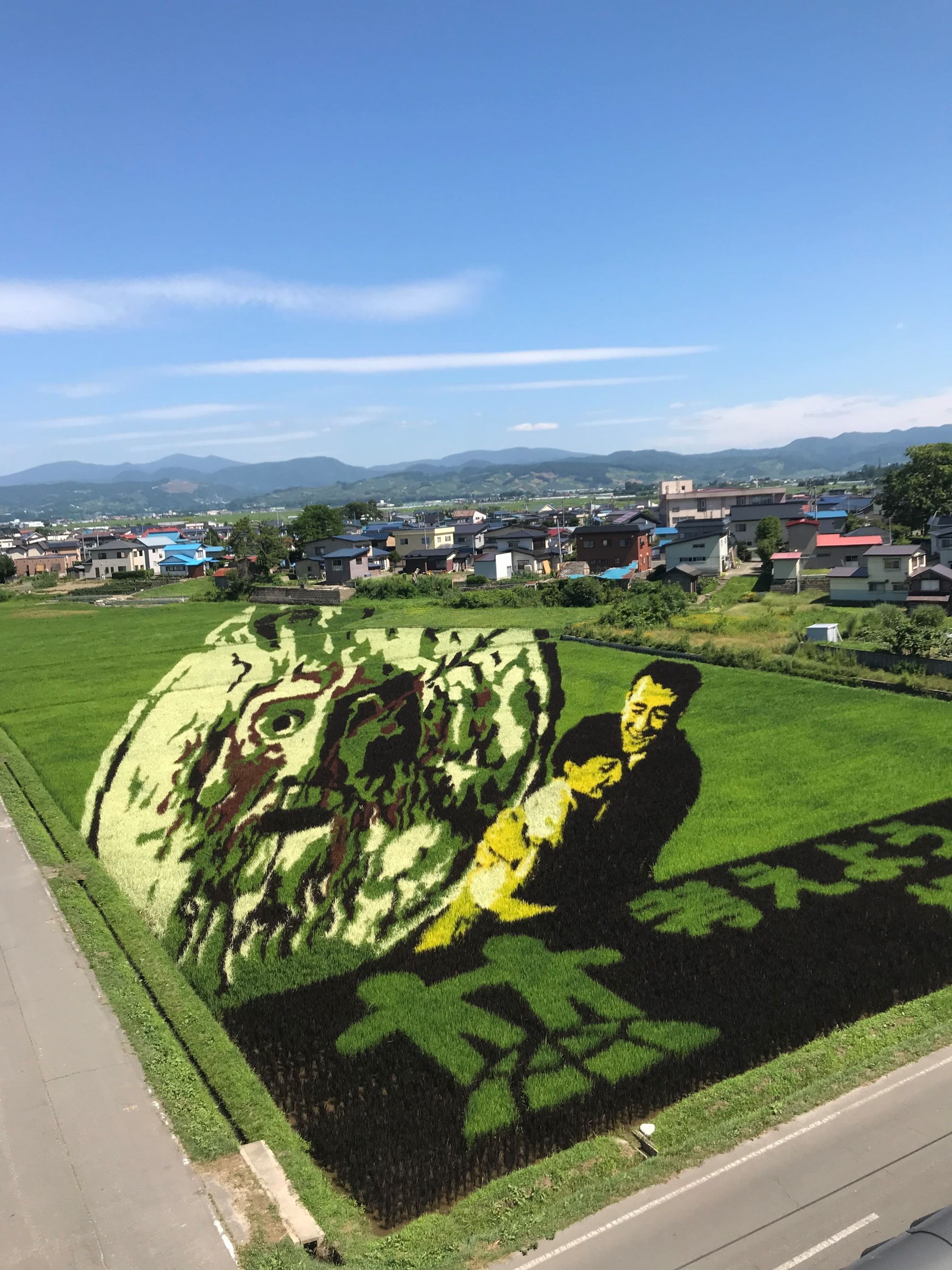青森稻田藝術祭_1.JPG